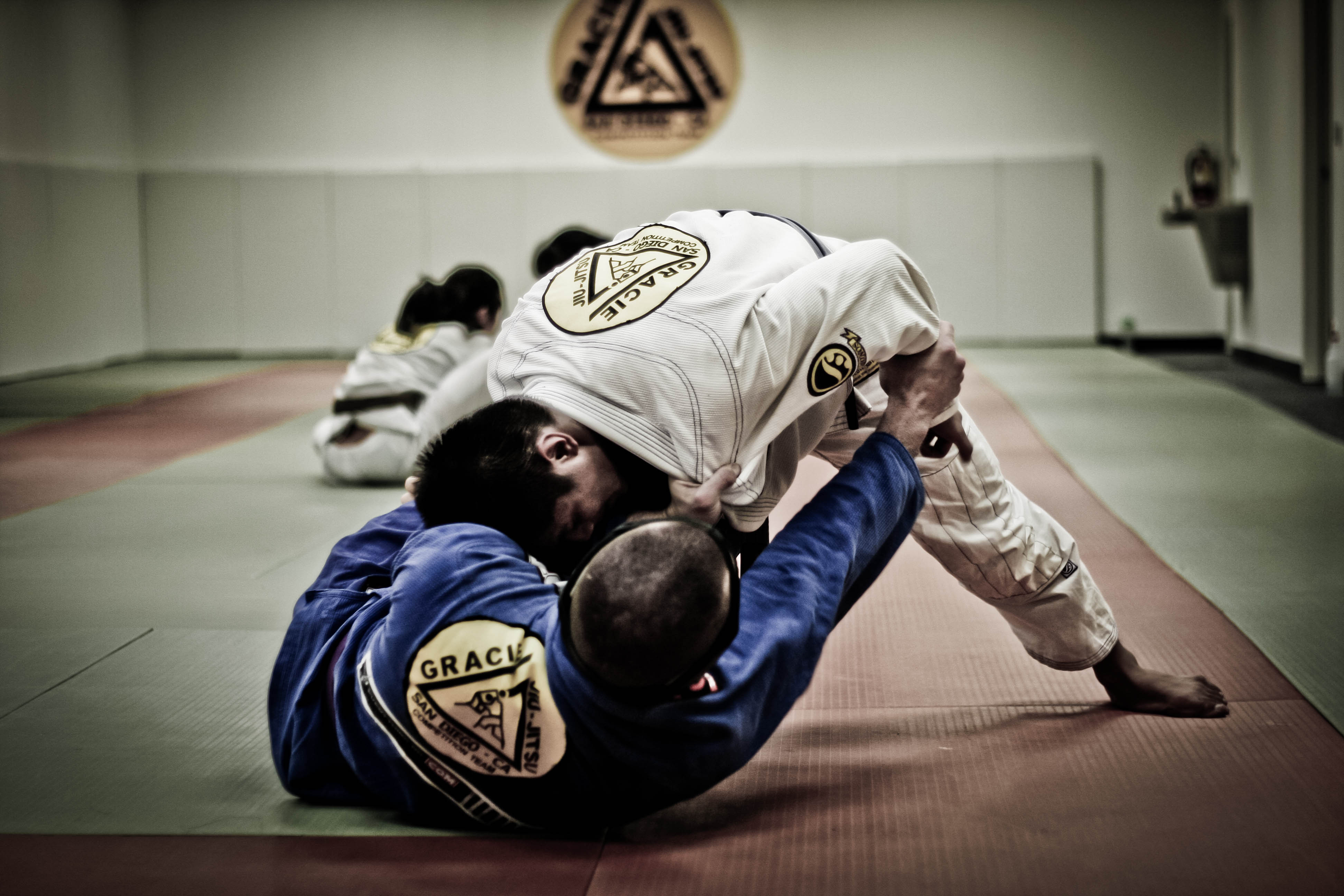 Gracie-Jiu-Jitsu-391